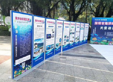 赤水KT板的种类和知识。